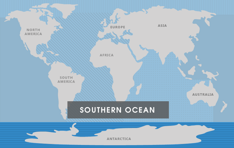 5 Oceans of the World | The 7 Continents of the World