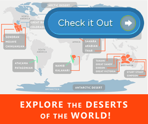 5 Oceans Of The World The 7 Continents Of The World 5 Oceans Of The World The 7 Continents Of The World