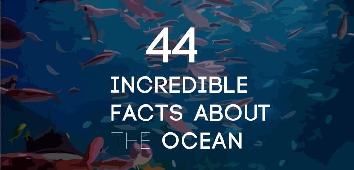 Interesting Facts About the Ocean