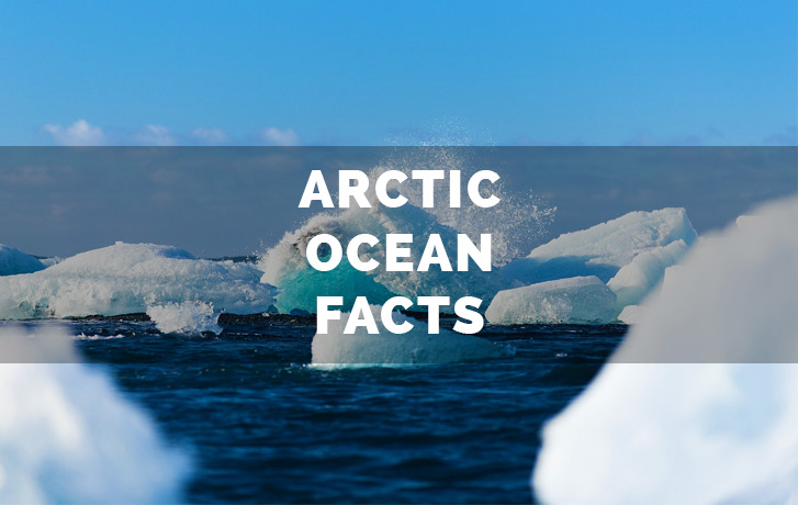 Arctic Ocean Facts